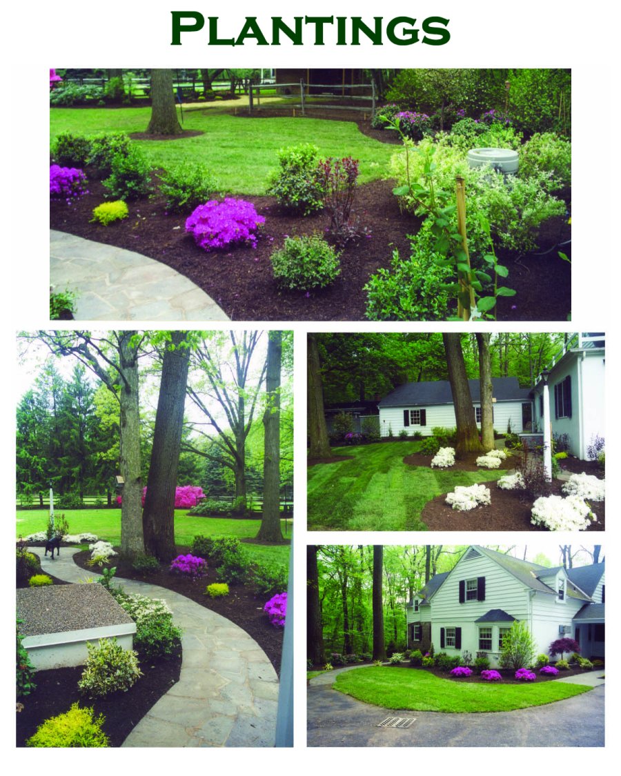 Plantings by Complete Landscape Design