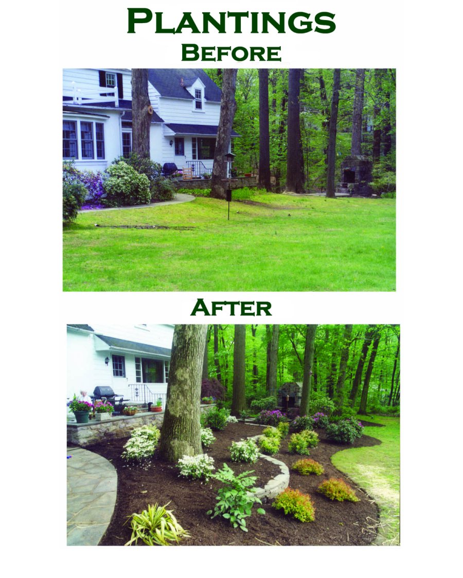 Plantings: Before and After by Complete Landscape Design